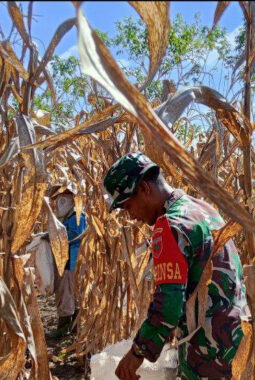 berita-rekomendasi-foto