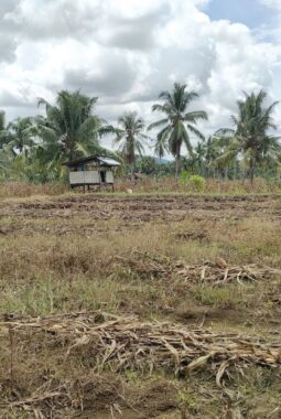 berita-rekomendasi-foto