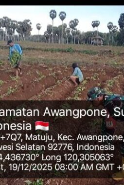 berita-rekomendasi-foto