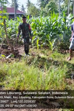 berita-rekomendasi-foto