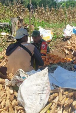 berita-rekomendasi-foto