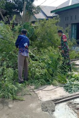 berita-rekomendasi-foto