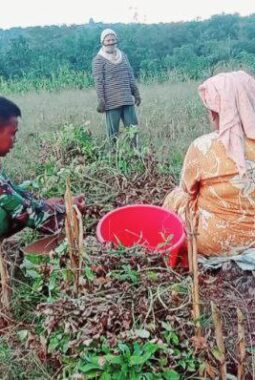 berita-rekomendasi-foto