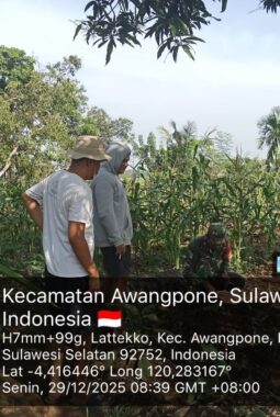 berita-rekomendasi-foto