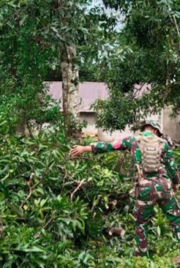 berita-rekomendasi-foto