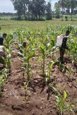 berita-rekomendasi-foto