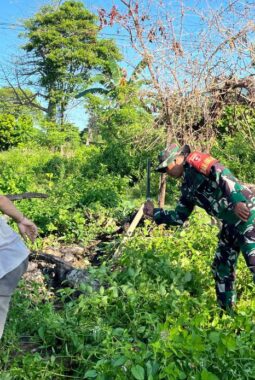 berita-rekomendasi-foto