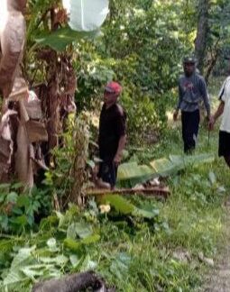 berita-rekomendasi-foto