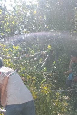 berita-rekomendasi-foto