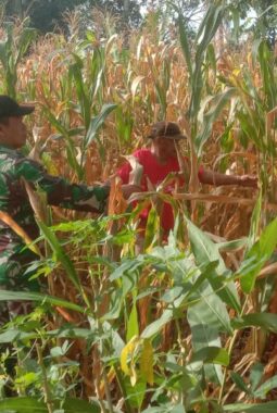 berita-rekomendasi-foto