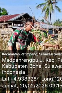 berita-rekomendasi-foto