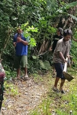 berita-rekomendasi-foto