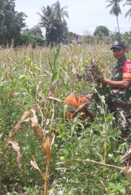 berita-rekomendasi-foto