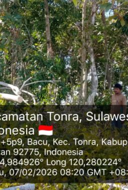 berita-rekomendasi-foto