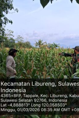 berita-rekomendasi-foto