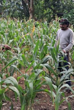 berita-rekomendasi-foto