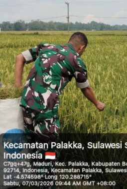 berita-rekomendasi-foto