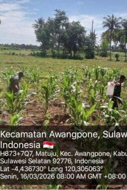 berita-rekomendasi-foto