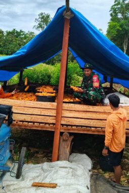 berita-rekomendasi-foto