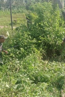 berita-rekomendasi-foto