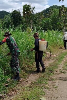 berita-rekomendasi-foto