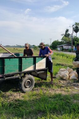 berita-rekomendasi-foto