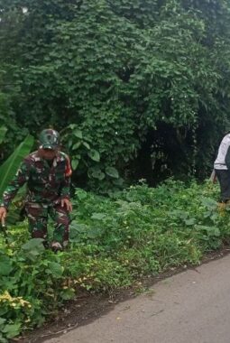 berita-rekomendasi-foto