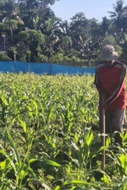 berita-rekomendasi-foto