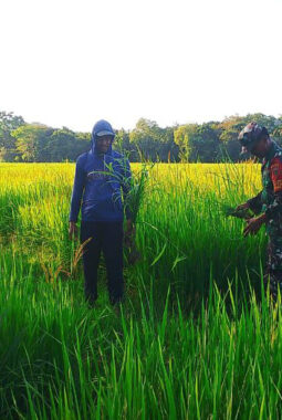 berita-rekomendasi-foto