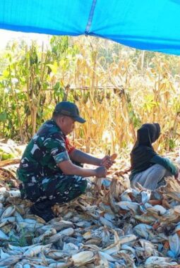 berita-rekomendasi-foto