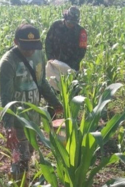 berita-rekomendasi-foto