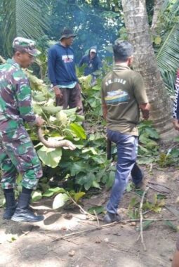 berita-rekomendasi-foto