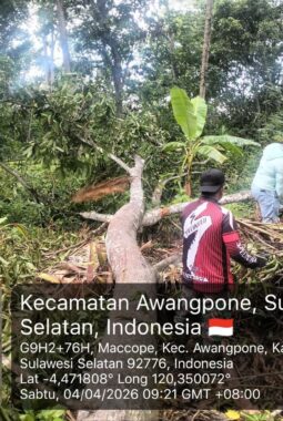 berita-rekomendasi-foto