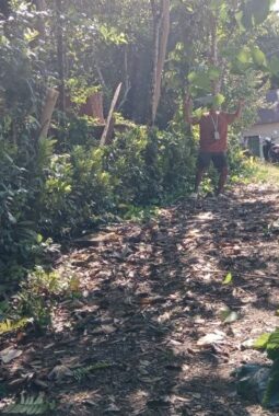 berita-rekomendasi-foto