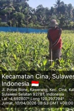 berita-rekomendasi-foto