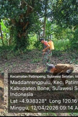 berita-rekomendasi-foto