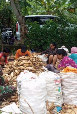 berita-rekomendasi-foto