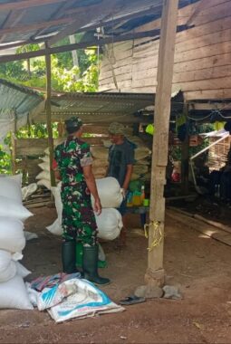 berita-rekomendasi-foto