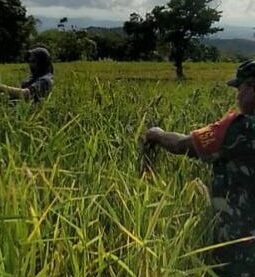 berita-rekomendasi-foto