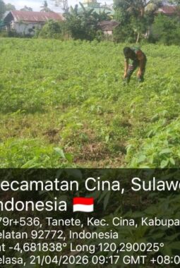 berita-rekomendasi-foto