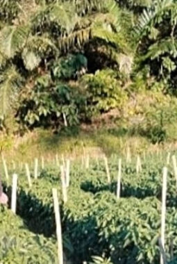 berita-rekomendasi-foto