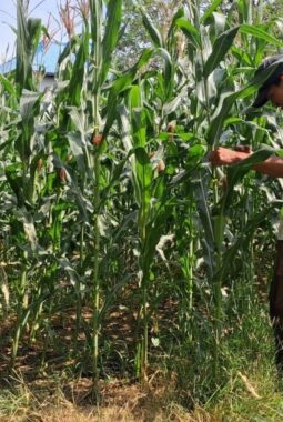 berita-rekomendasi-foto