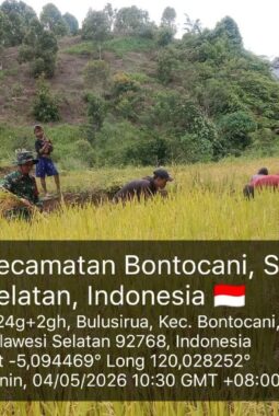 berita-rekomendasi-foto