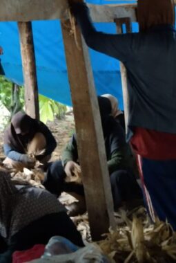 berita-rekomendasi-foto