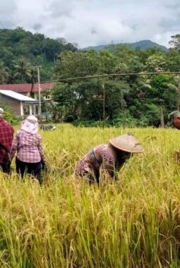 berita-rekomendasi-foto