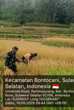 berita-rekomendasi-foto