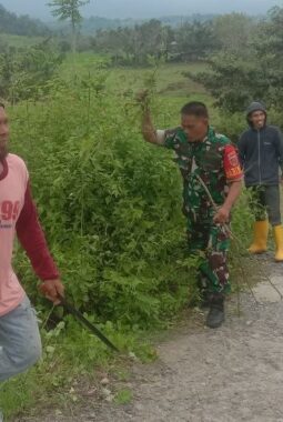berita-rekomendasi-foto