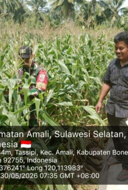 berita-rekomendasi-foto
