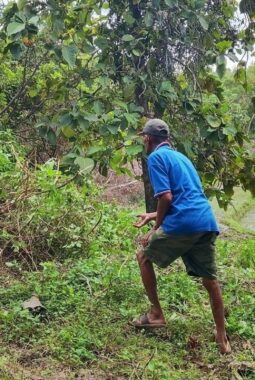 berita-rekomendasi-foto