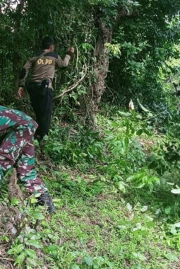 berita-rekomendasi-foto